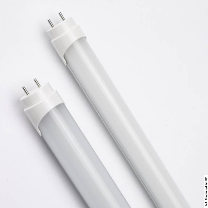 Led TL buis T8 / 60 cm / 10W / 1190 Lm / 6000k / Diffuus - afbeelding 1